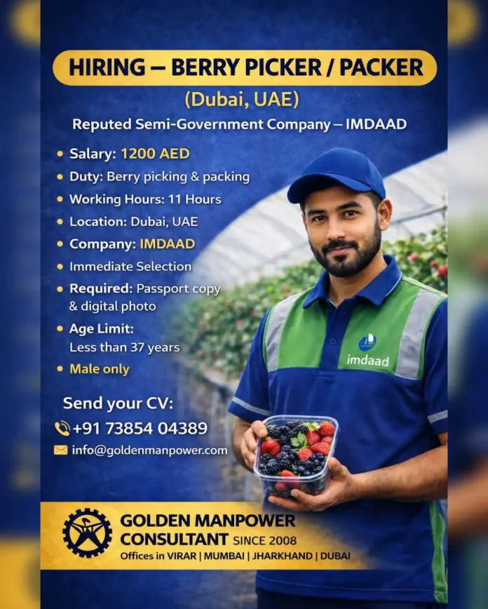 Berry Picker and Packer Job Opportunity in Dubai with IMDAAD Company
