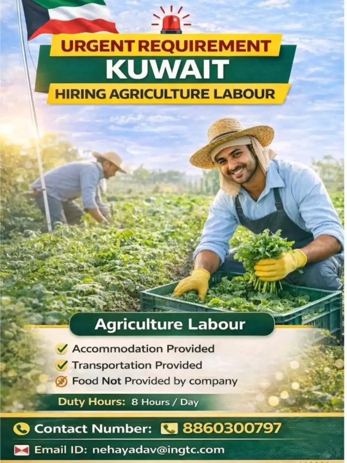 Agriculture labour working in field under sun