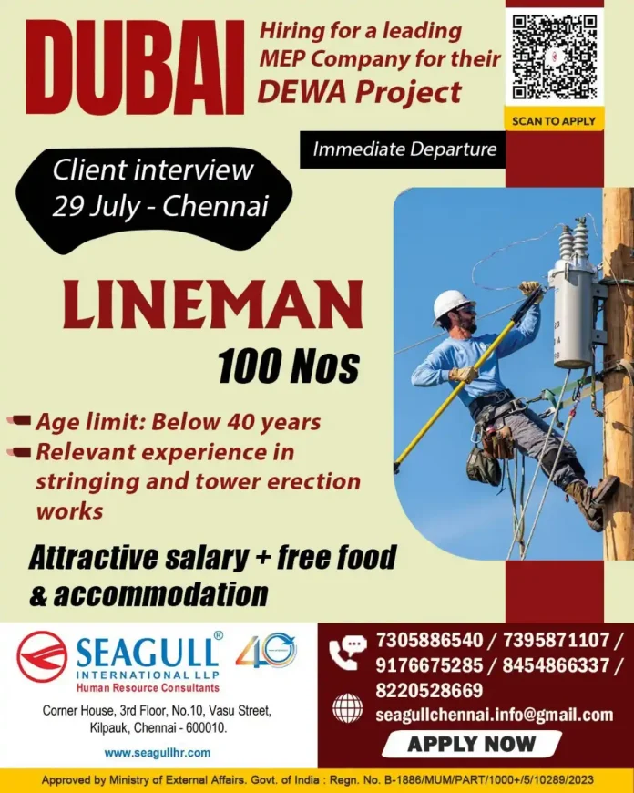 Hiring Linemen for DEWA Project – Client Interview in Chennai