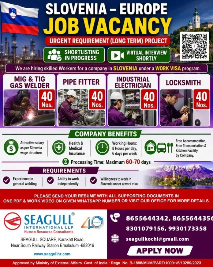 Job vacancy for MIG TIG welders in Slovenia - Seagull International