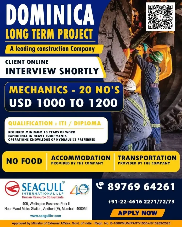 Heavy equipment mechanic working on construction site in Dominica