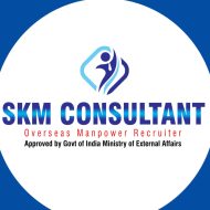 SKM CONSULTANTT