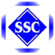 SS CONSULTANTS